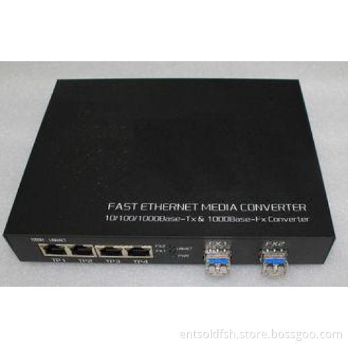 2 Port Gigabit SFP 4 Port Tp Fiber Optic Switches Ethernet